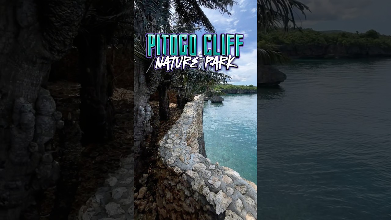 YouTube Short thumbnail