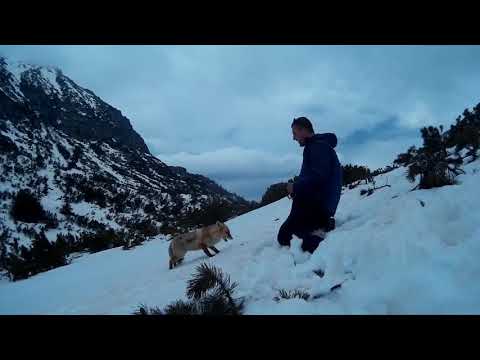 Retyezát hegység Peleaga csúcs