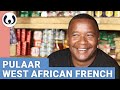 Leo speaking Pulaar and West African French | Fula language | Wikitongues