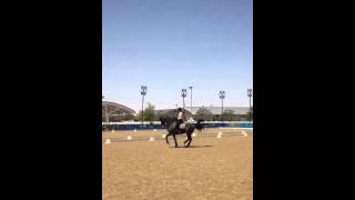 Training Nathalie and Digby