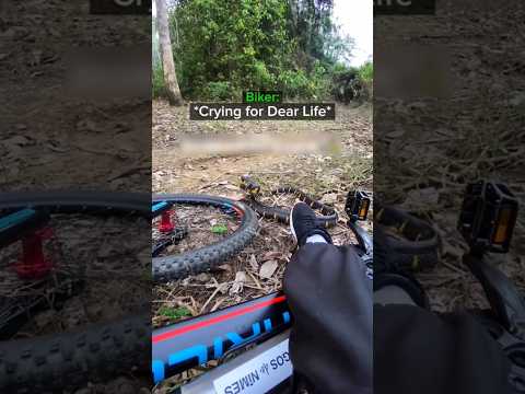 Biker realizes it’s over💀