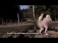 Americas funniest porn videos - Torsdag Kveld fra Nydalen
