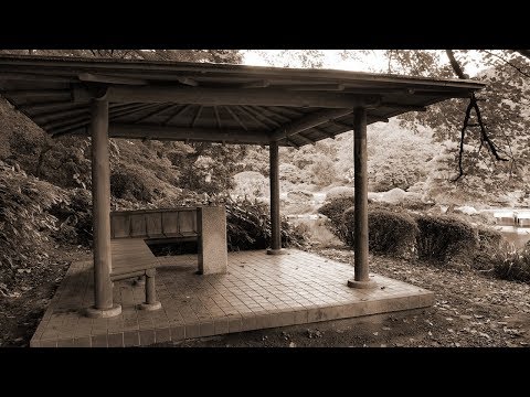 Rain - 秦基博（フル） Video