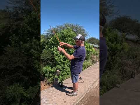 🔥MUCHA Pesca y Cocina🔥 Los Puestos y Arroyo Mista #pesca #fishing #argentina #tucuman #fish