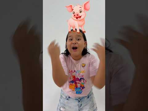 Como hacen los animales