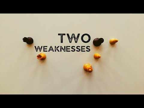 Exploiting weaknesses in rook endgames, Andersson - Huebner, Johannesburg 1981 · Endgame Strategy 2