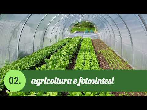 Seminario Agroecologia Applicata 18/12/2024