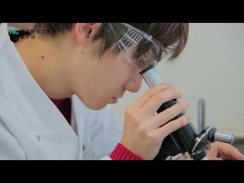人文学科 薬学部2018