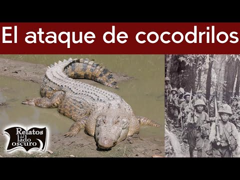 El ataque de cocodrilos más temible de la historia | Relatos del lado oscuro