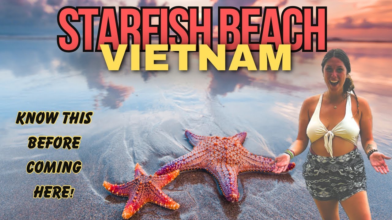 Experience a fascinating peek of Starfish Beach.