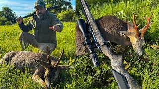 EPIC ROE DEER HUNT: Mountains, Patience & The Perfect Shot!