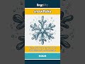 snowflake (noun) - definition and usage in English