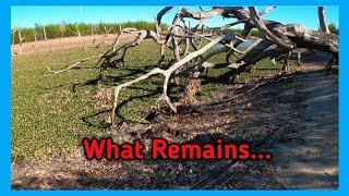 Choke Canyon Lake Update / More water to be released
