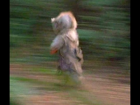 Ewoks: the Battle for Endor Highlights (FULL VIDEO IN DESCRIPTION)