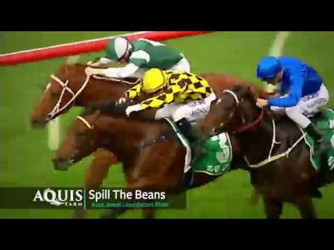 Spill The Beans - Unbeaten at 2, Brilliant at 3