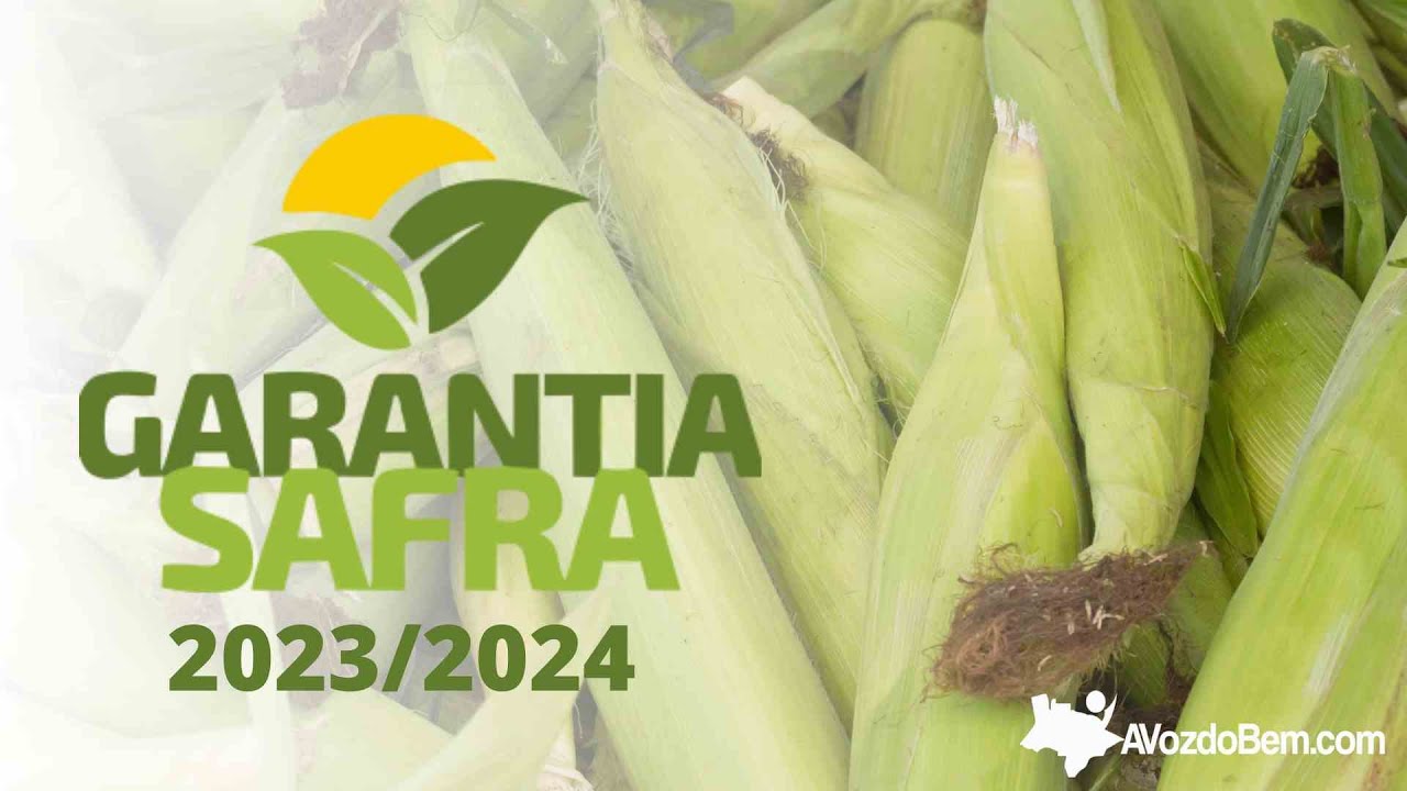 Garantia Safra 2023/2024: Em caso de perda de safra o valor do benefício é de R$ 1.200