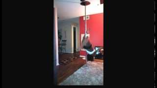 Pole Play ~ R. Kelly - Throw This Money On You (SimplySassy PF)