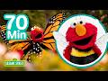 Elmo S Bug Party 70 Mins Sesame Street