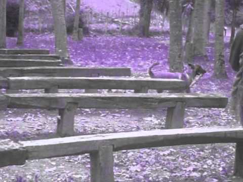 bibull & elga film 1