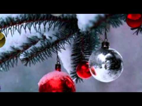 Napadl sníh (Sova sněžná) - Karel Plíhal