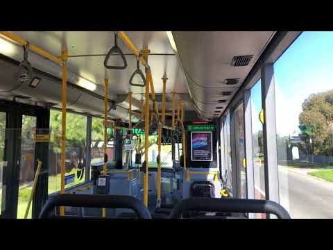 Transperth Mercedes-Benz O405NH, TP1851 (Voith)