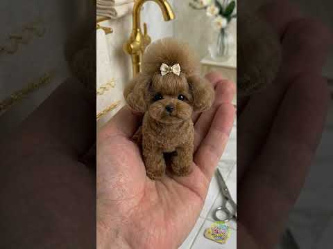 مغامرات الجراء اللطيفة في سبا الكيوت! 🐶