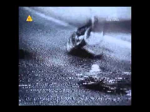 poza układem część 3.wmv