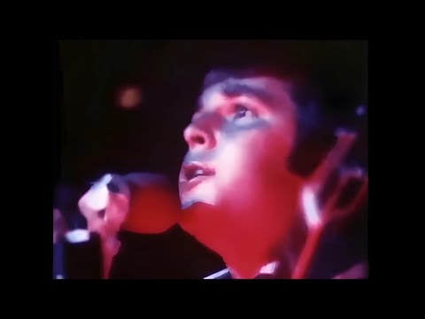 Videoclip de Hawaii (Live In Hawaii / 8/25/67) — The Beach Boys