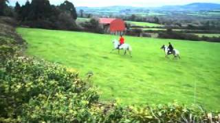 preview picture of video 'Wicklow Hunt  Redcross 2011'
