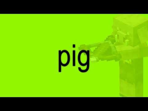 Unbelievable Minecraft Parody: Girl so confusing with pig