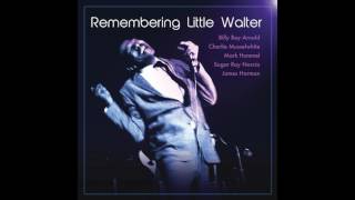 Remembering Little Walter
