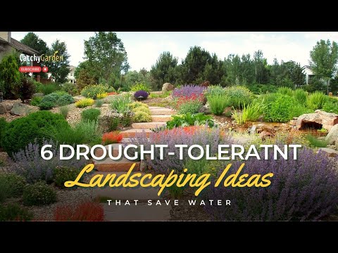 6 Drought-Tolerant Landscaping Ideas That Save Water 🌾🍃🌷 // Gardening Tips