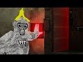 Gorilla Tag Added Cheats