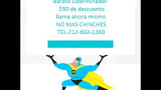chinches, chinches y mas chinches | 212-602-1260