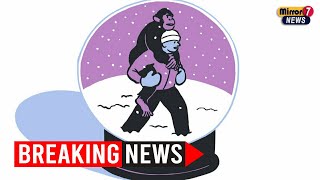 NYT Connections Hints and Answers for December 11, 2024