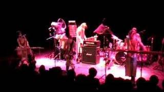 Sleepytime Gorilla Museum (1)