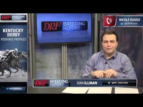 DRF Breeding Report   Kentucky Derby Pedigree Profiles