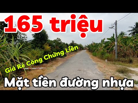 Đất giá rẻ 165 triệu đường nhựa thổ cư nhà cửa đông ở xã Phước Vinh Tây Ninh có 2 lô sổ hồng riêng