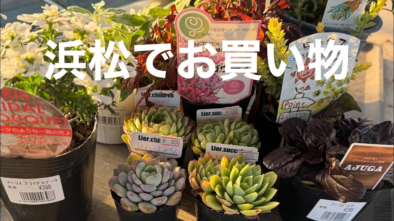 浜松でお買い物