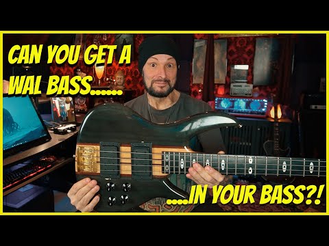 Epic Wal Bass Tone on a Budget- Lusithand NFP Special MK II & Turner Pickups Unleashed!