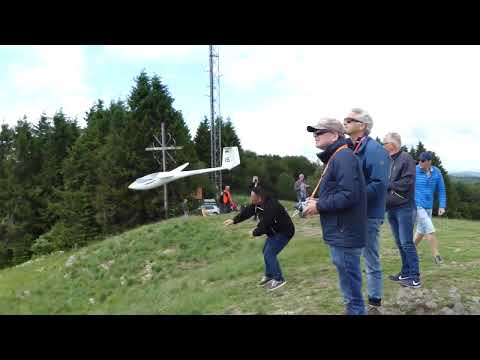 Seglerabsturz Wasserkuppe