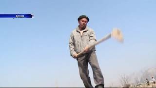 Дыйкандарга сунуш: Кайсыл осумдук быйыл кирешелуу болот?