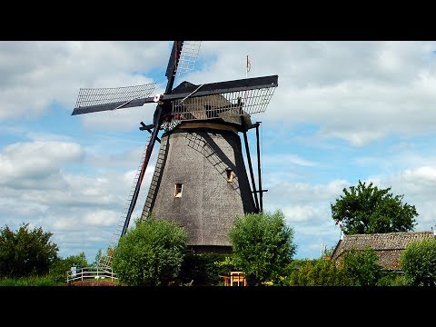 Windmill and Tulip Day Trip, Amsterdam