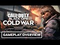 Call of Duty: Black Ops Cold War - How Warzone is Changing