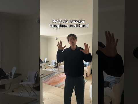 POV: du besöker kompisen med hund