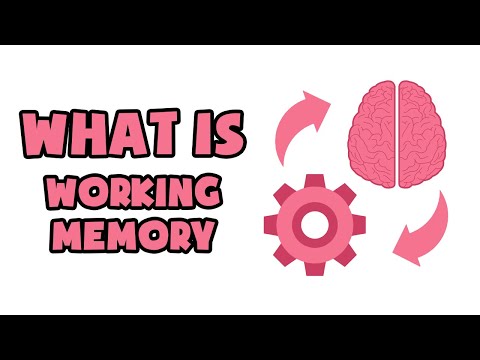 Working Memory: The Cognitive Powerhouse | Painted Clothes