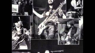 Wild Turkey - Social World