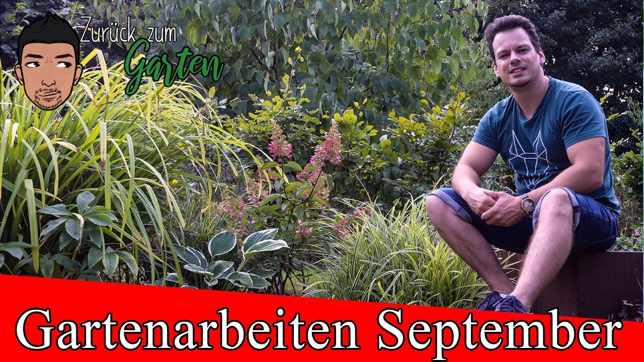 youtube video id=CyEM1UcP820