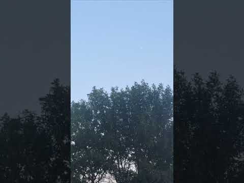 UFO I filmed while camping with my kids