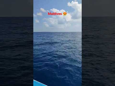 Maldives 🥰😍